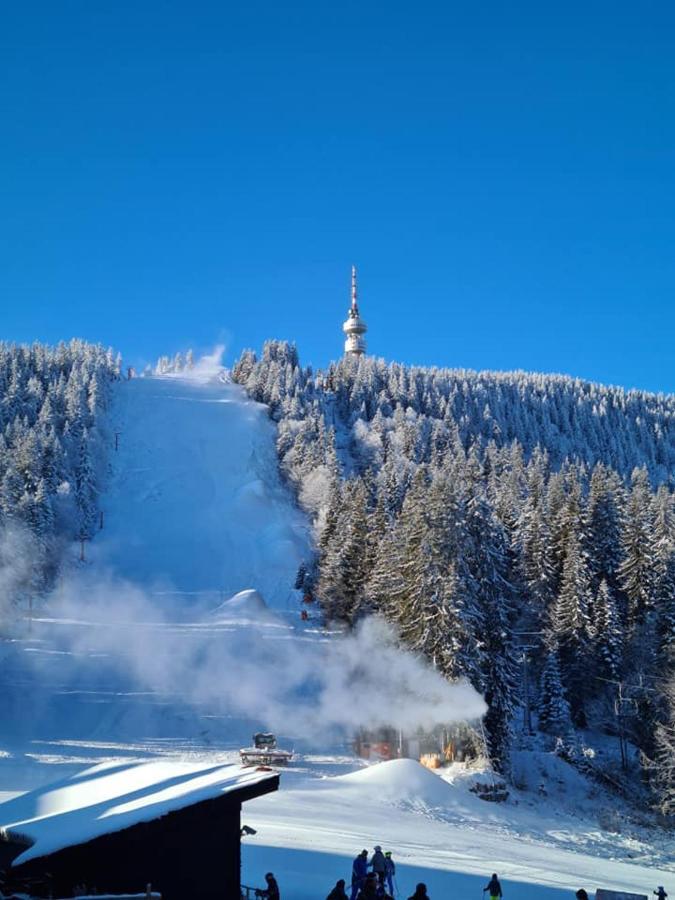 Студиа Студенец Smolyan Exterior foto